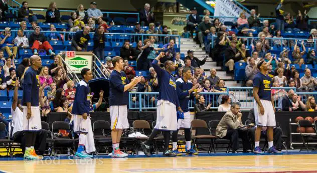 Saint John Mill Rats Celebrate