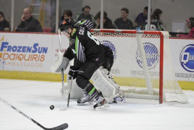 Louisiana IceGators Defenseman Casey Goll