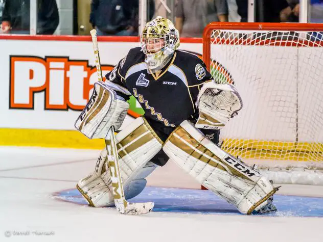 Charlottetown Islanders Goaltender Daryl MacCallum