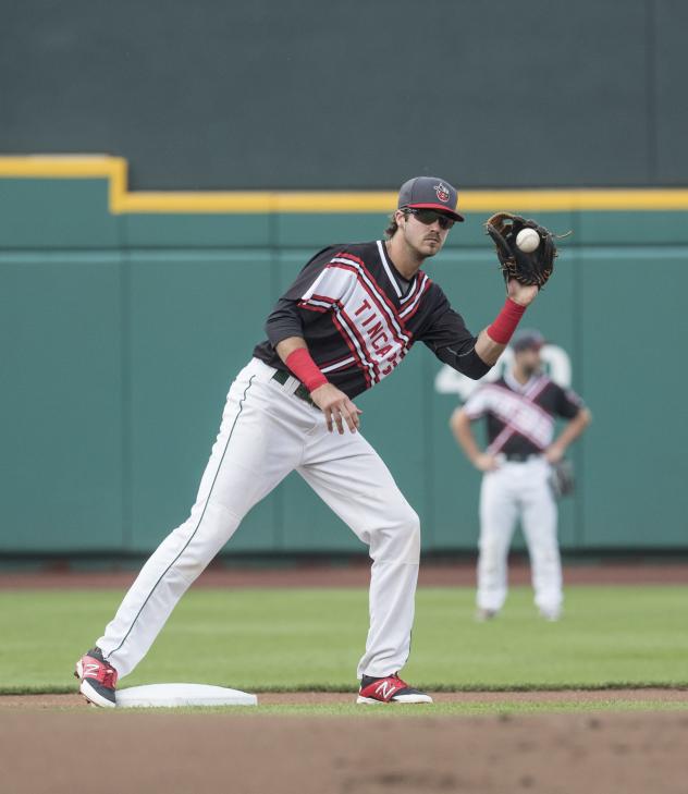 Fort Wayne TinCaps 