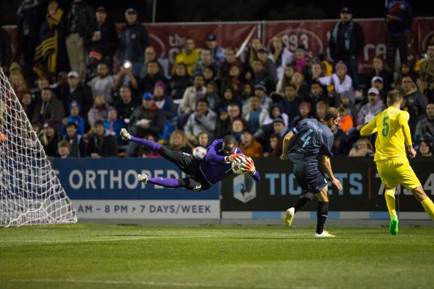 Minnesota United Goalkeeper Sammy Ndjock Makes a Stop vs. the Tampa Bay Rowdies