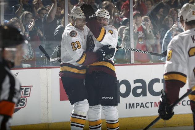 Chicago Wolves vs. Milwaukee Admirals