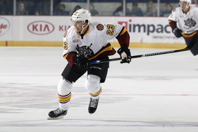 Chicago Wolves vs. Milwaukee Admirals