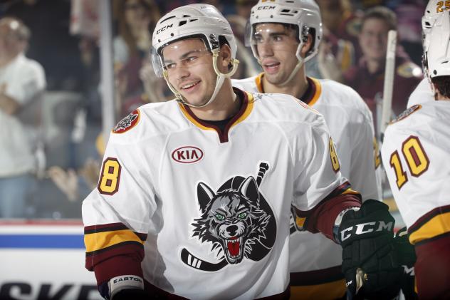 Chicago Wolves vs. Milwaukee Admirals