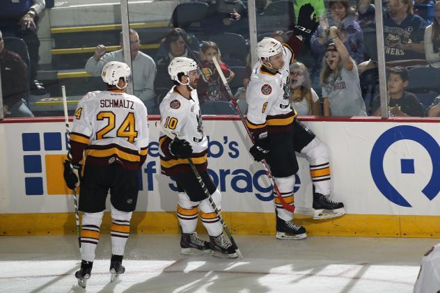 Chicago Wolves vs. Milwaukee Admirals