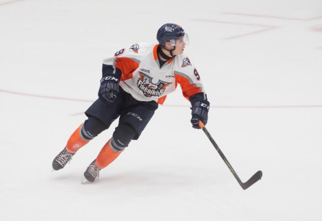 Flint Firebirds in Action