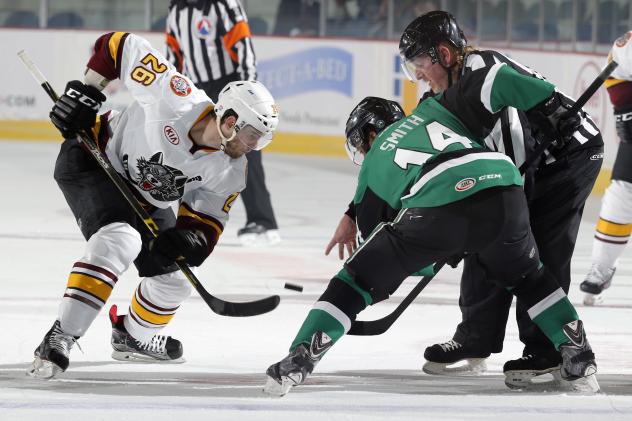 Spencer Asuchak of the Chicago Wolves vs. the Iowa Stars
