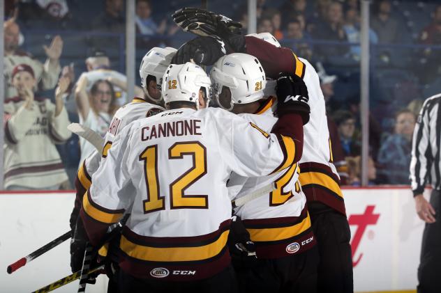 Chicago Wolves Celebrate Goal vs. the Charlotte Checkers