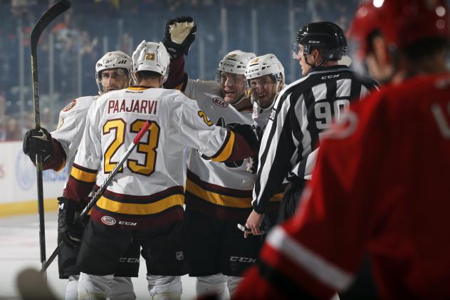 Chicago Wolves Celebrate a Goal vs. the Charlotte Checkers