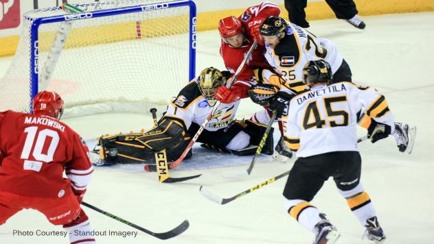 Allen Americans and Colorado Eagles Pileup in Front of Eagles Goal