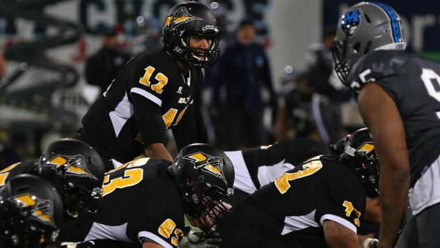 Brooklyn Bolts QB Josh Freeman Surveys the Hudson Valley Fort Defense