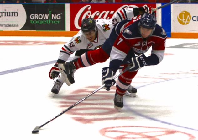 Tri-City Americans Undercut Portland Winterhawks Skater