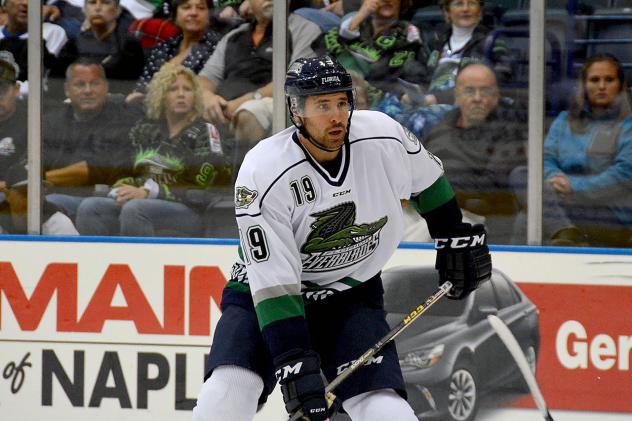 Florida Everblades Face the Greenville Swamp Rabbits