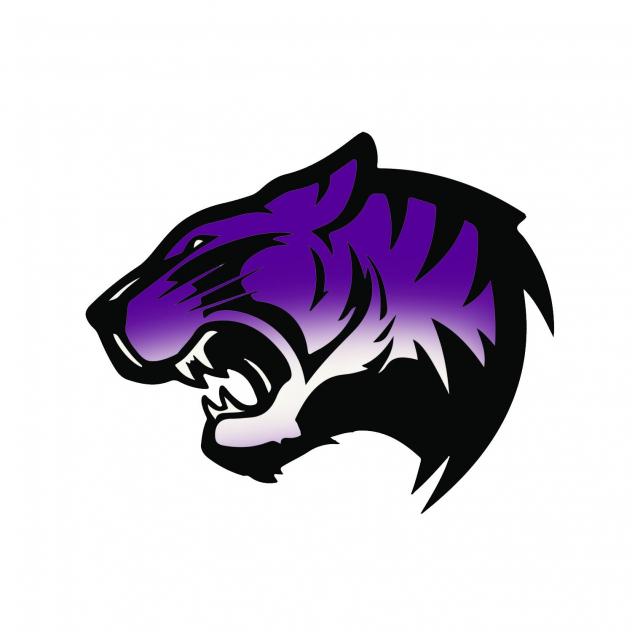 Winston Wildcats