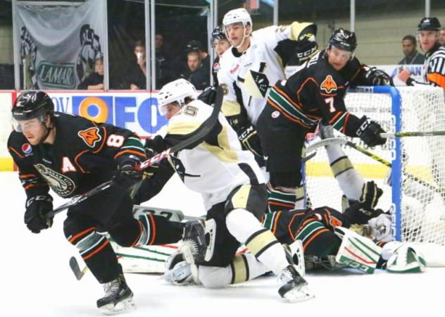 Wheeling Nailers vs. the Quad City Mallards