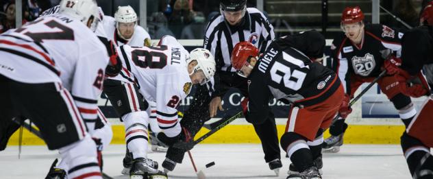 Grand Rapids Griffins vs. Rockford IceHogs