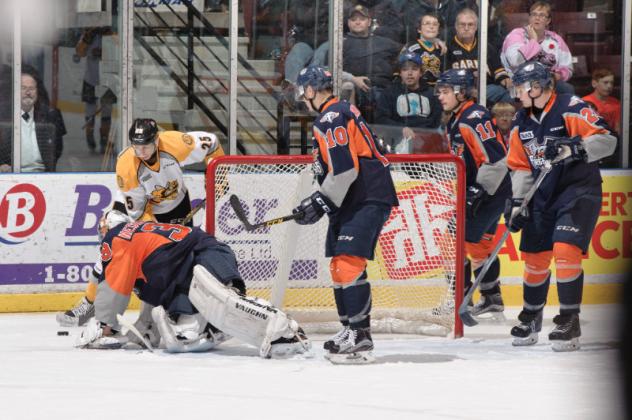 Flint Firebirds Goaltender Alex Nedeljkovic Stops the Sarnia Sting