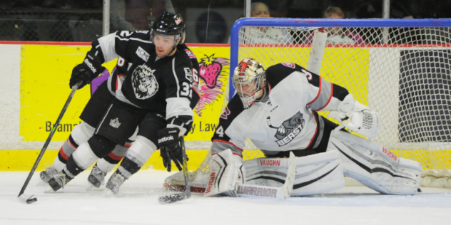 Brampton Beast Face the Manchester Monarchs