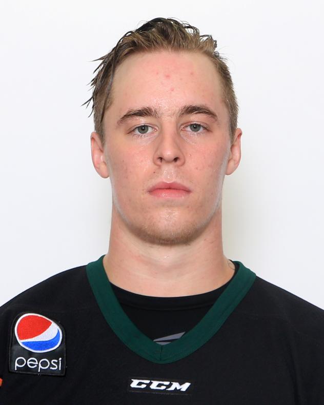Quad City Mallards Forward Logan Nelson