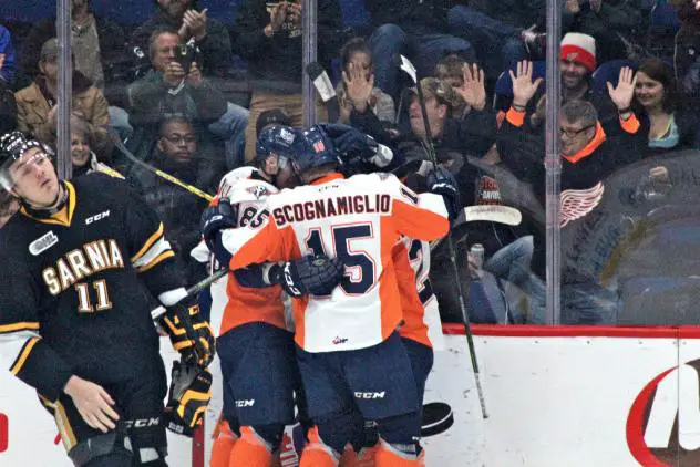 Flint Firebirds Celebrate a Goal against the Sarnia Sting
