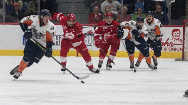 Flint Firebirds Bring the Puck up vs. the Sault Ste. Marie Greyhounds