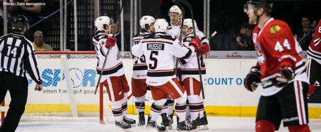 Grand Rapids Griffins Celebrate a Goal vs. the Rockford IceHogs