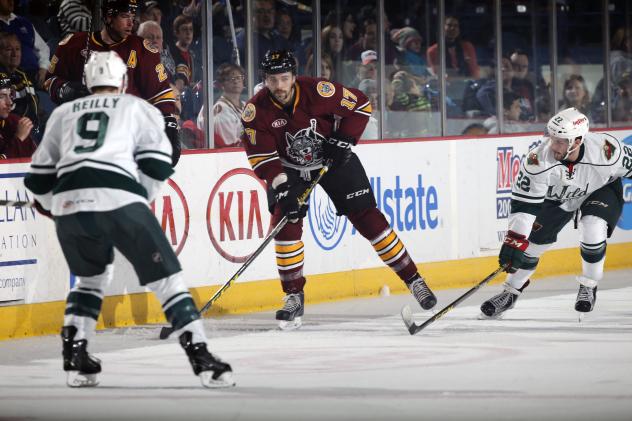 Eriah Hayes of the Chicago Wolves vs. the Iowa Wild