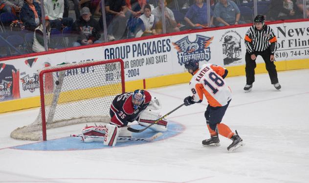 Flint Firebirds Take a Shot on Goal