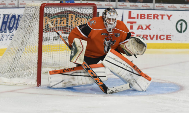 Omaha Lancers Goaltender Zackarias Skog