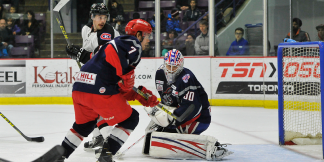 Brampton Beast vs. the Elmira Jackals