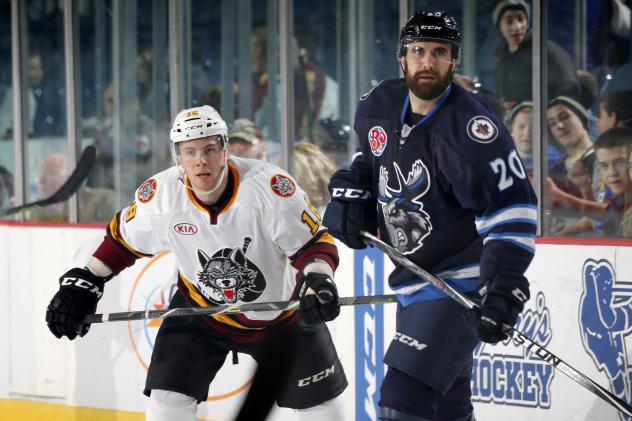 Yannick Veilleux of the Chicago Wolves vs. the Manitoba Moose