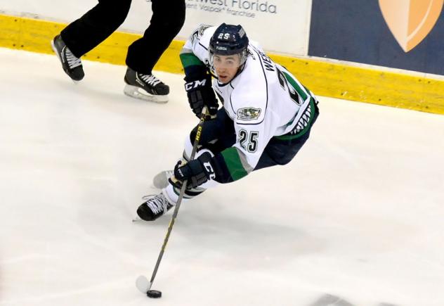 Ethan Werek of the Florida Everblades