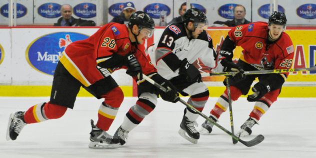 Brampton Beast Battle past the Adirondack Thunder