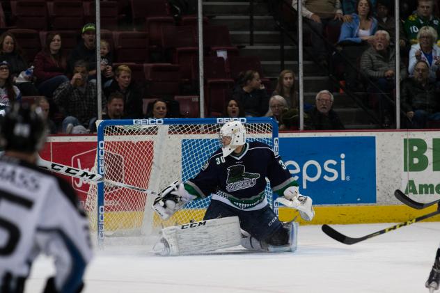 Florida Everblades Goaltender Anthony Peters