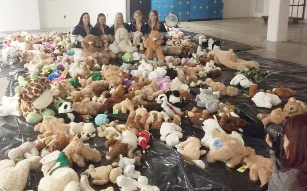Flint Firebirds Teddy Bear Toss Collection