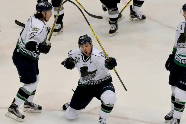 Florida Everblades Celebrate a Goal