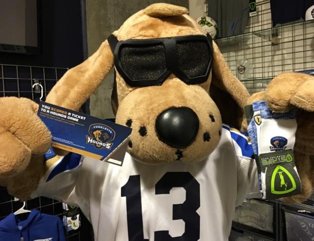 Charlotte Hounds Mascot Old Blue