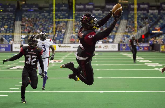 Orlando Predators WR Brandon Thompkins Leaps into the Endzone