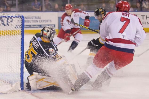 Allen Americans Test Colorado Eagles Goalkeeper