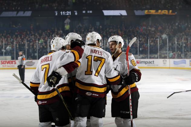 Chicago Wolves Celebrate a Goal vs. the Texas Stars