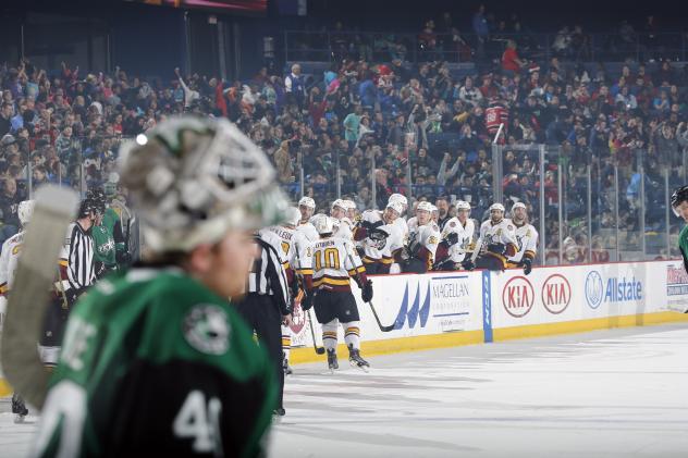 Chicago Wolves Bench Celebrates vs. the Texas Stars