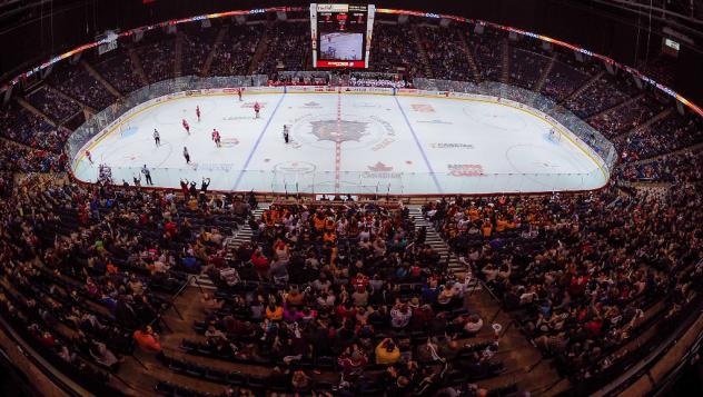 FirstOntario Centre, Home of the Hamilton Bulldogs