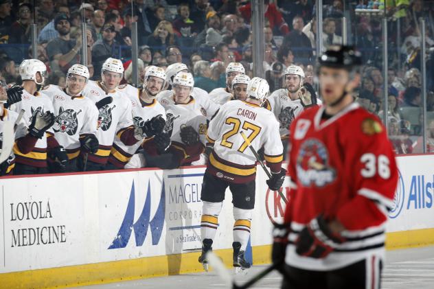 Chicago Wolves Bench Celebrates vs. the Rockford IceHogs