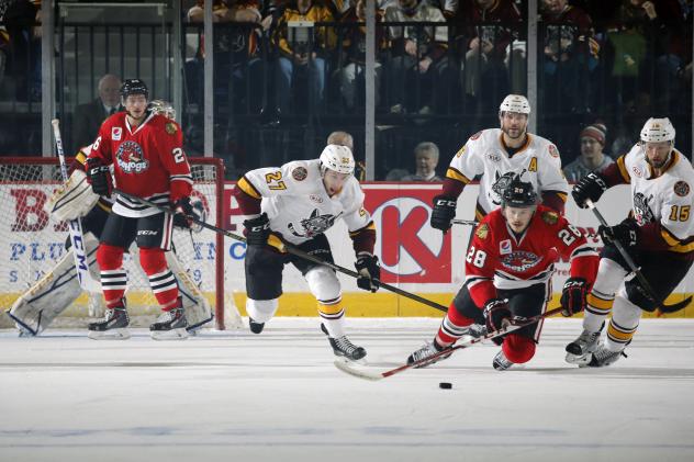 Chicago Wolves Race the Rockford IceHogs for the Puck