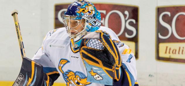 Toledo Walleye Goaltender Jeff Lerg