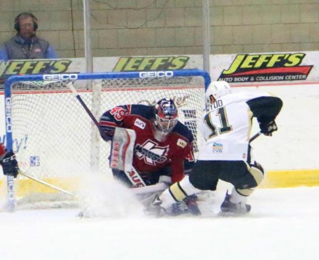 Kalamazoo Wings Stop the Wheeling Nailers