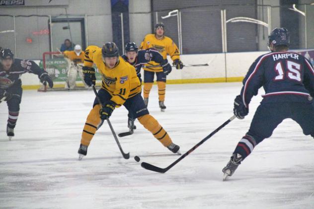 Springfield Jr. Blues Head up the Ice