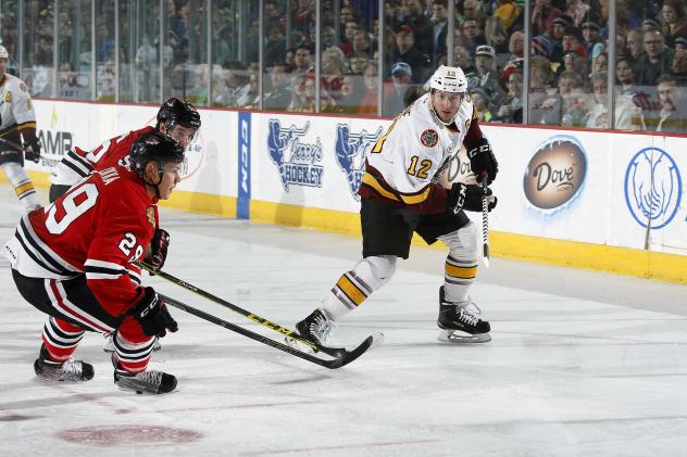 Pat Cannone of the Chicago Wolves vs. the Rockford IceHogs