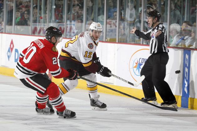 Chicago Wolves C Pat Cannone vs. the Rockford IceHogs
