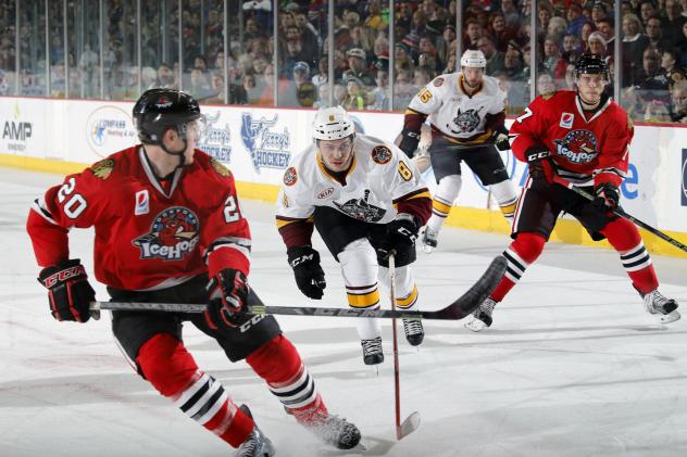 Chicago Wolves RW Ty Rattie Skates up Ice the Rockford IceHogs